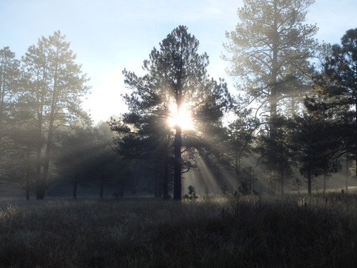 GDMBR: I paid my respect to the heavenly spirits - Thank You.